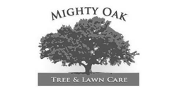 Mighty Oak | Tree Company Digital Marketing
